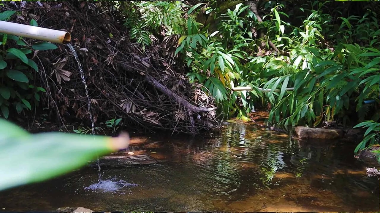 Projeto, recuparação de nascentes, Nascentes do Oeste, Bahia, Aiba, meio ambiente