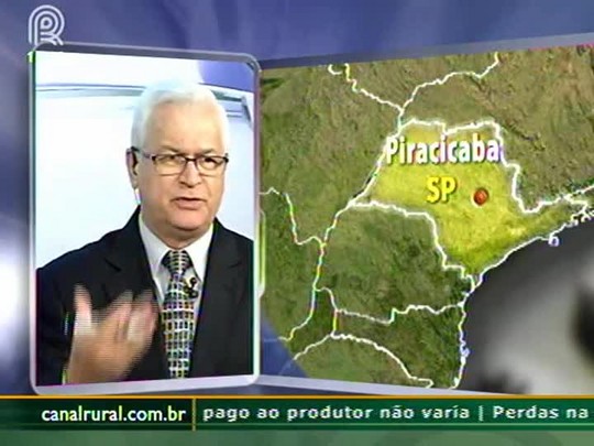 Safra de café 2015/2016 poderá ser inferior à atual, diz fisiologista