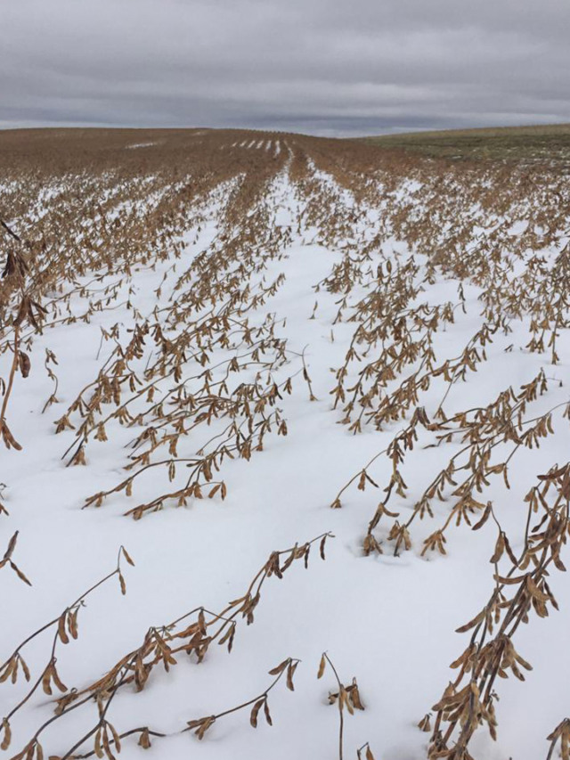 Foto: Filippe Pasqualatto