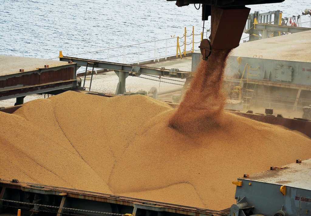 exportações