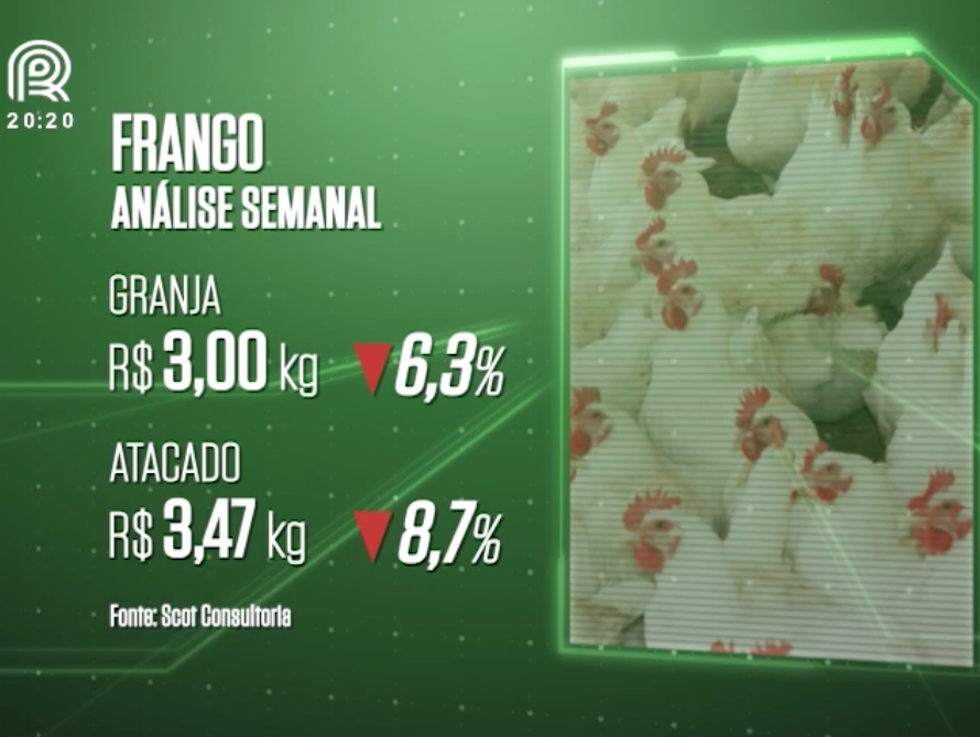 Após greve, preços da carne de frango e suína começam a estabilizar