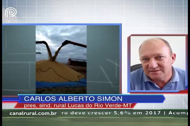 Chuva causa estragos em lavouras de soja no MT