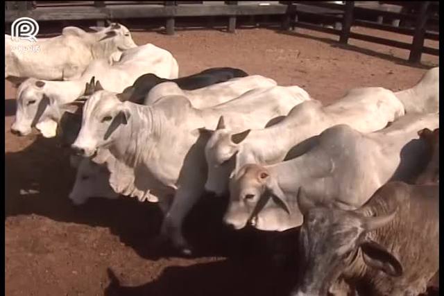 Pecuaristas constroem maior frigorífico de Roraima