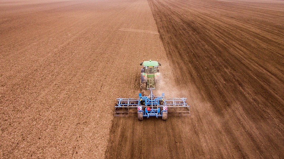Plantio de soja 25/26 atinge 11,1% da área no Brasil, aponta Conab