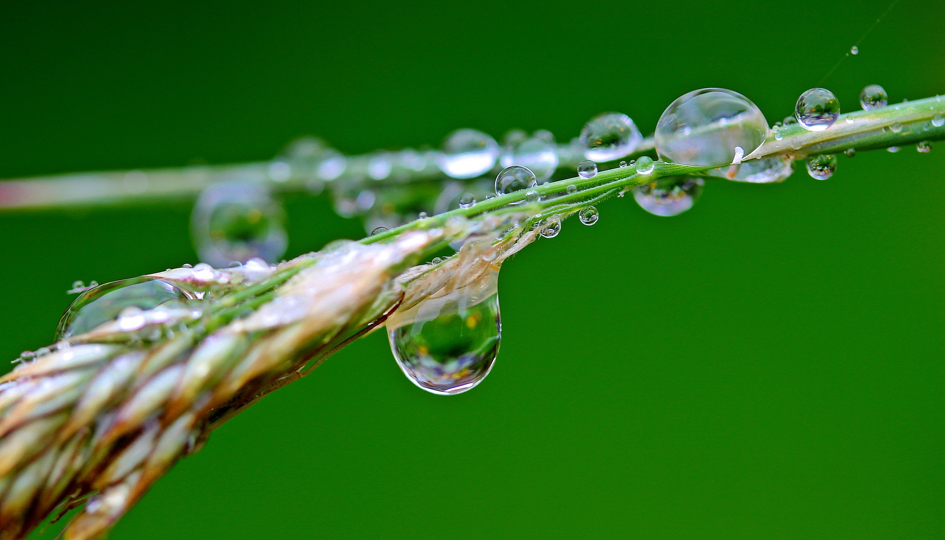 frente fria, chuva