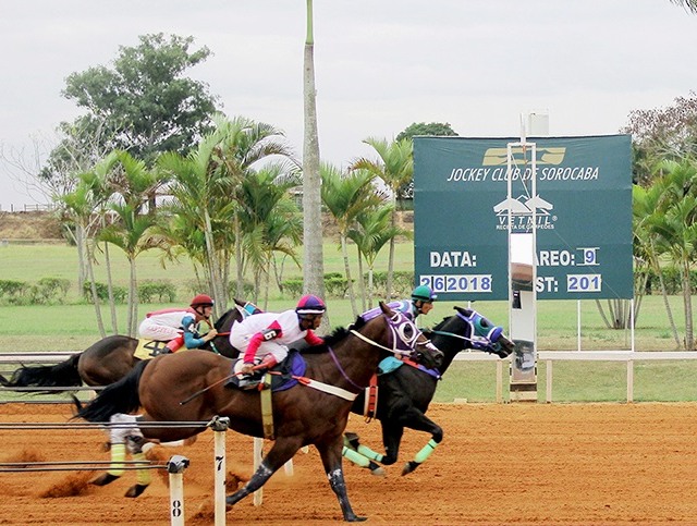Foto: Jockey Club de Sorocaba