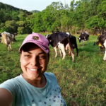 produtora de leite com vacas ao fundo