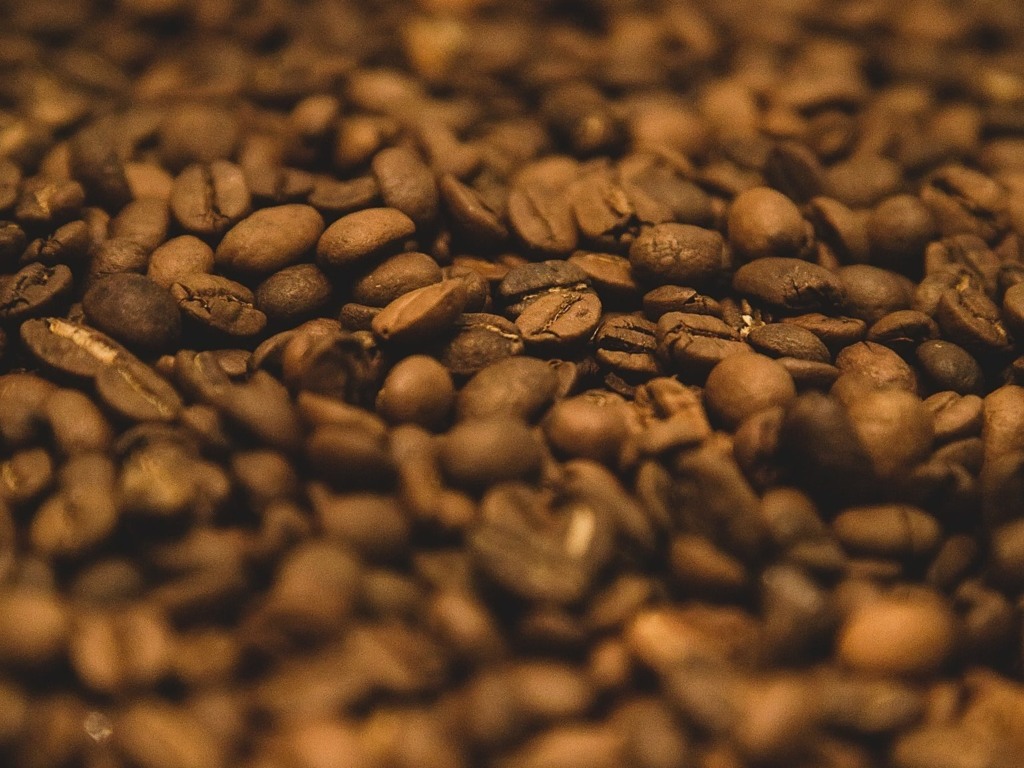 grãos de café grãos de café