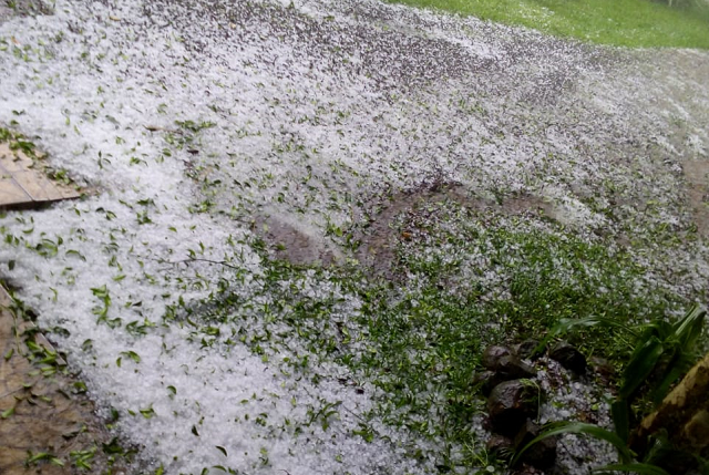 chuva de granizo, soja