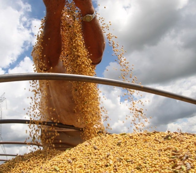 soja, produção, colheita