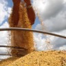 soja, produção, colheita