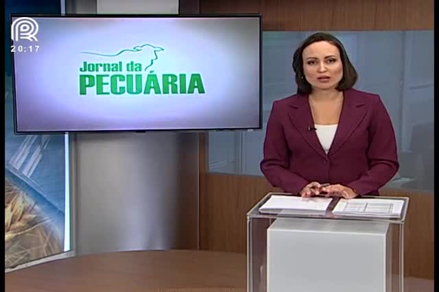 Gado: Haverá redução no volume de confinados, afirma analista da Scot Consultoria