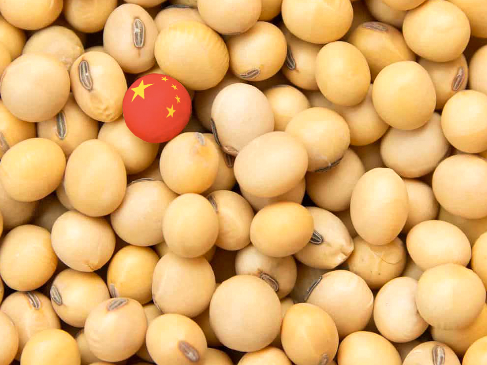 Compras de soja pela China aumentaram 18% em julho