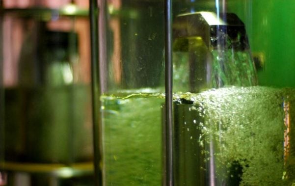 Etanol pode ter emissões negativas com novas tecnologias