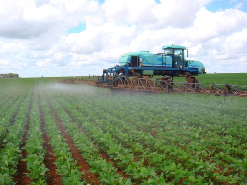 Dicamba pulverização herbicida