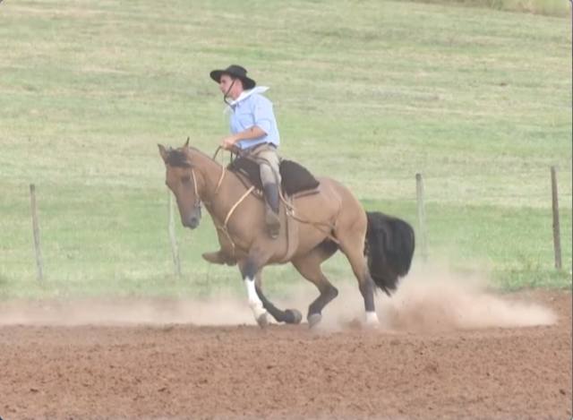 Veja a 5ª edição do Cavalo Crioulo sem Fronteiras