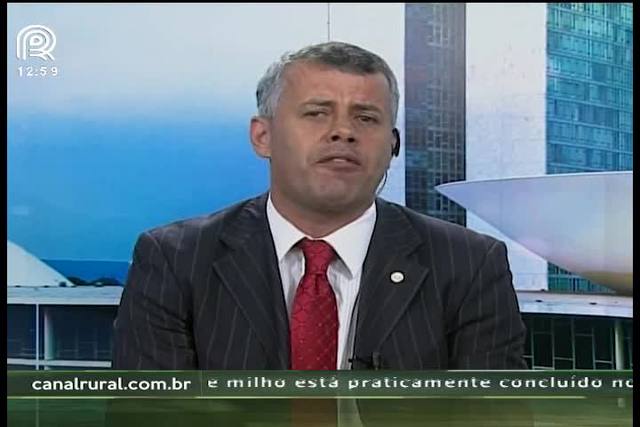 Café: setor se posiciona contra a importação