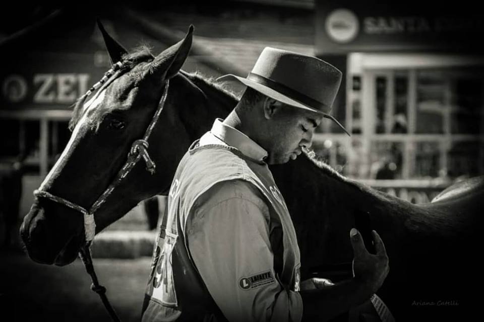 Cavalo mangalarga marchador