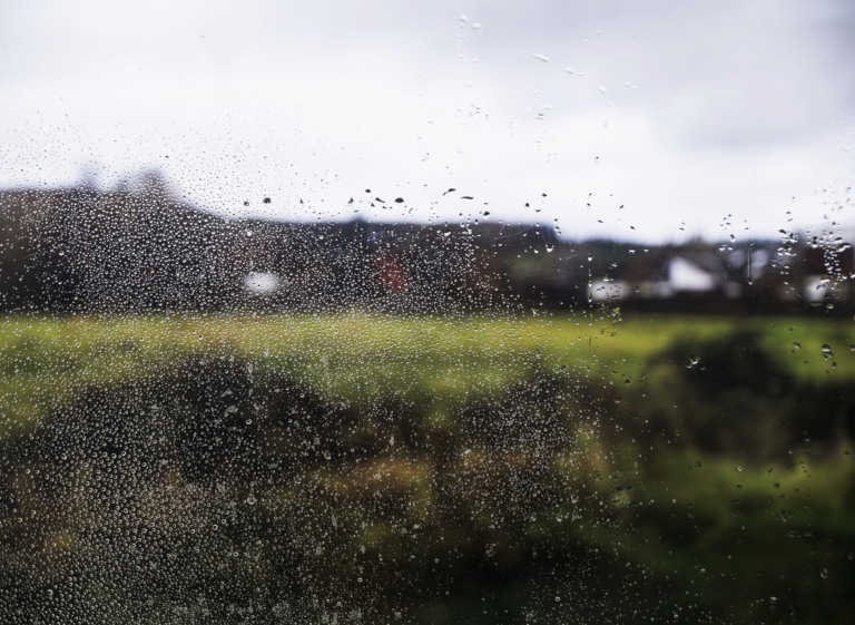 Chuva intensa 'trava' colheita de soja em MT e aumenta apreensão dos sojicultores; previsão aponta melhora?