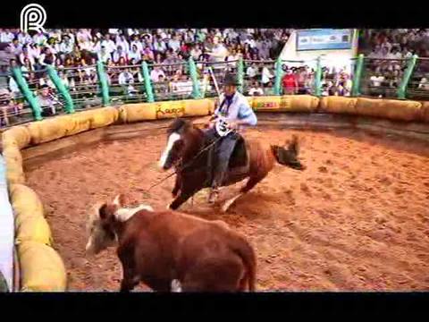 Começa classificatórias para o Freio de Ouro