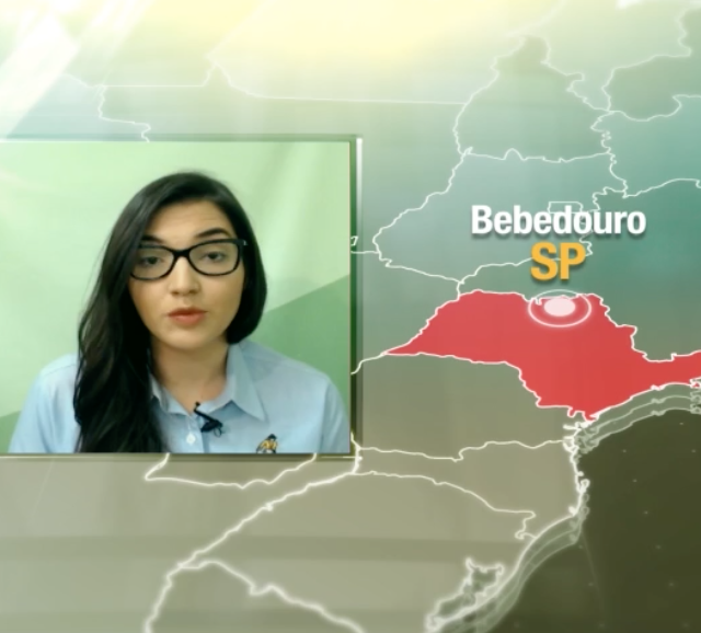 Entenda por que o mercado de reposição perdeu força