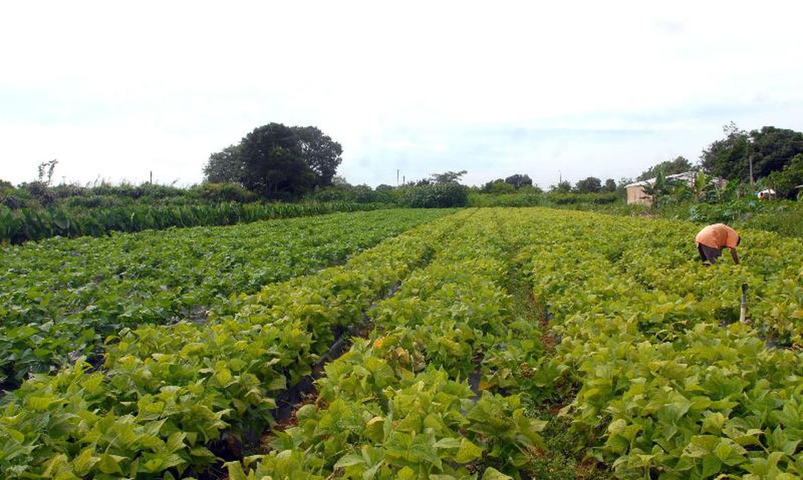 MDA lança programa de gestão para cooperativas da agricultura familiar