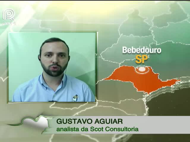 Boi gordo: preço da arroba fecha março 9% menor