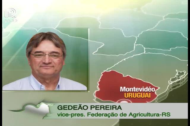 Mercosul discute exportação de carne bovina para a Europa