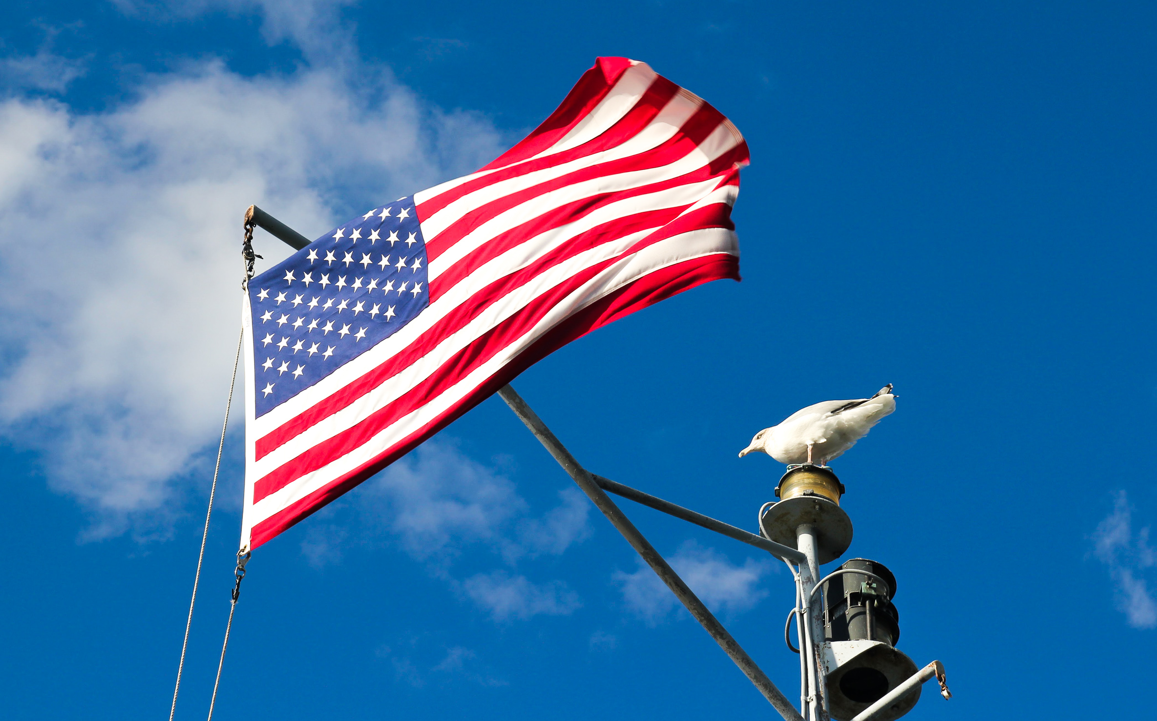 bandeira dos Estados Unidos, democratas