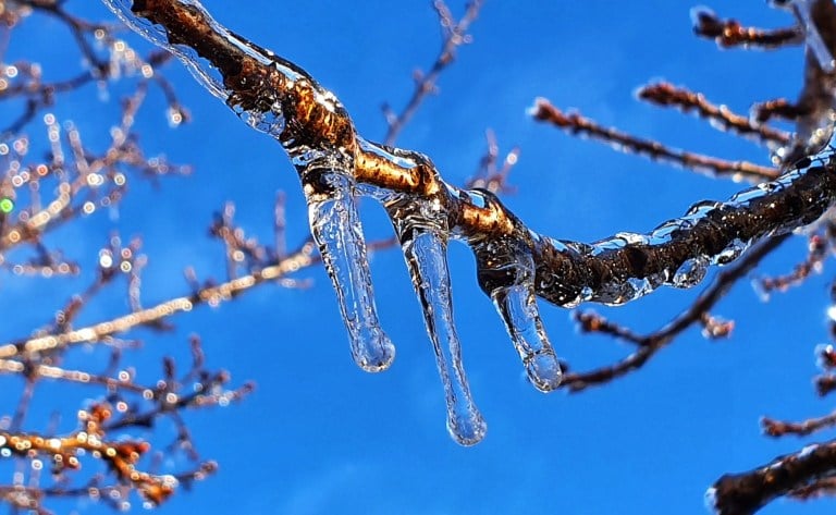 frio - geada ampla