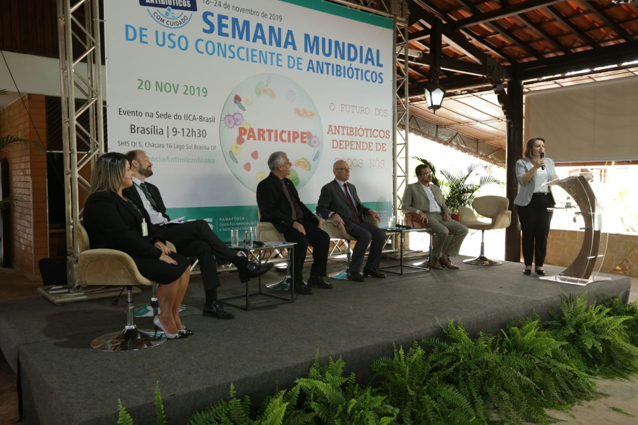 Especialistas debatem uso consciente de antibióticos na saúde animal