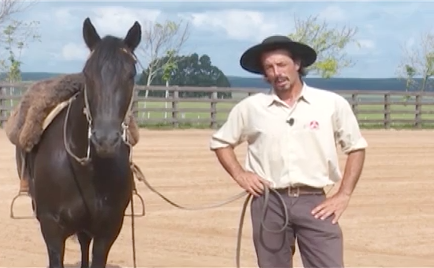 Freio de Ouro, Ginete, Cavalo, Competição