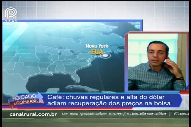 Café: chuvas regulares e dólar brecam recuperação dos preços