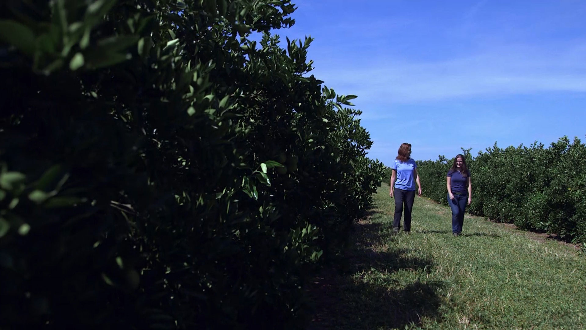 Uma jornada original e fascinante que conta os desafios do futuro do agro