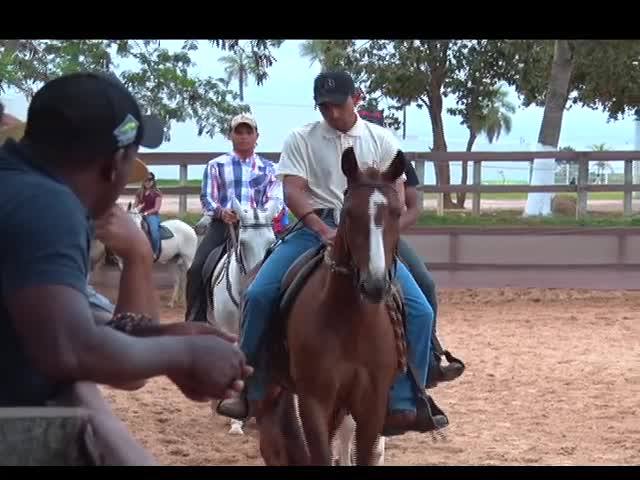 Conheça a tradição do mangalarga em Minas Gerais