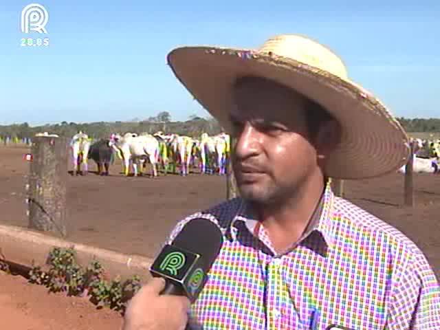 MT: greve do Indea gera prejuízo de R$ 500 milhões