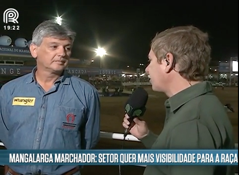 Mangalarga marchador: criadores investem na profissionalização