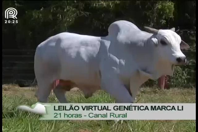 Canal Rural exibe leilão virtual Genética Marca