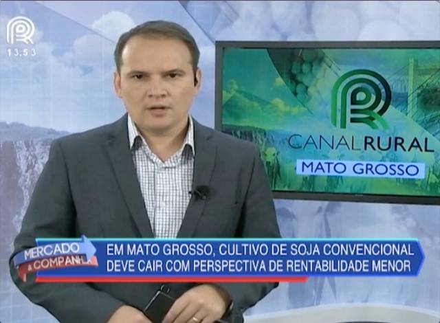 Cultivo de soja convencional deve cair em Mato Grosso