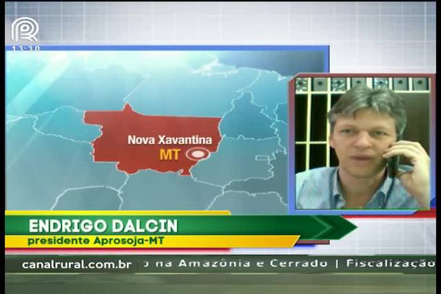 MT deve asfaltar 2,5 mil quilômetros de estradas em dois anos