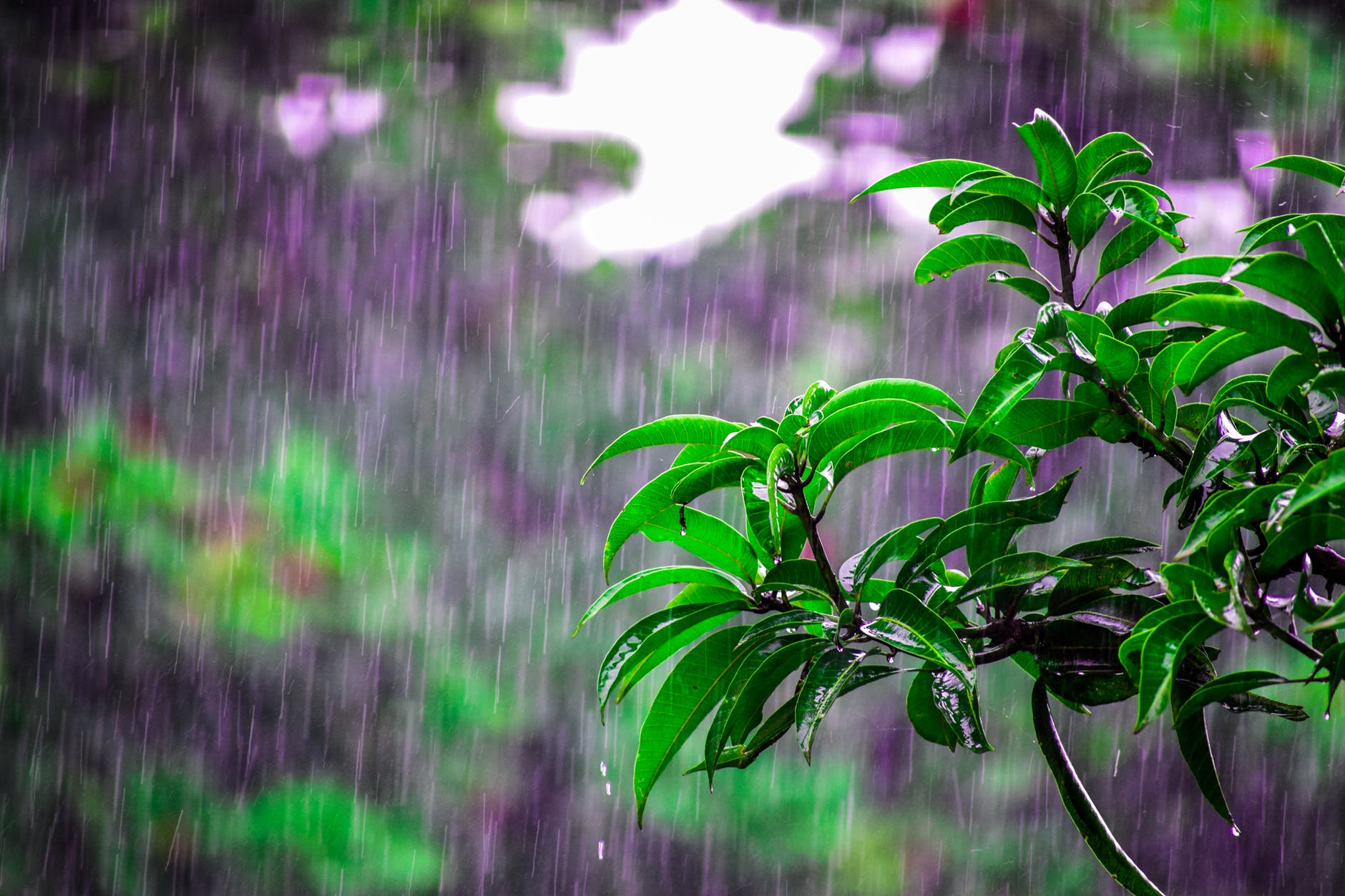 chuva tempestade clima previsão do tempo