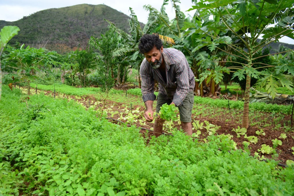 contag, agricultura familiar, redução de agrotóxicos, modelo agroecológico, contag, pronaf, auxílio emergencial