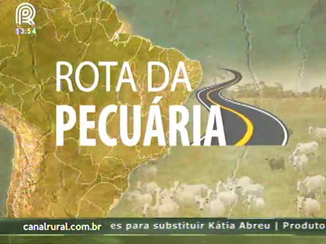 Consórcio de agricultura e pecuária aumenta produtividade