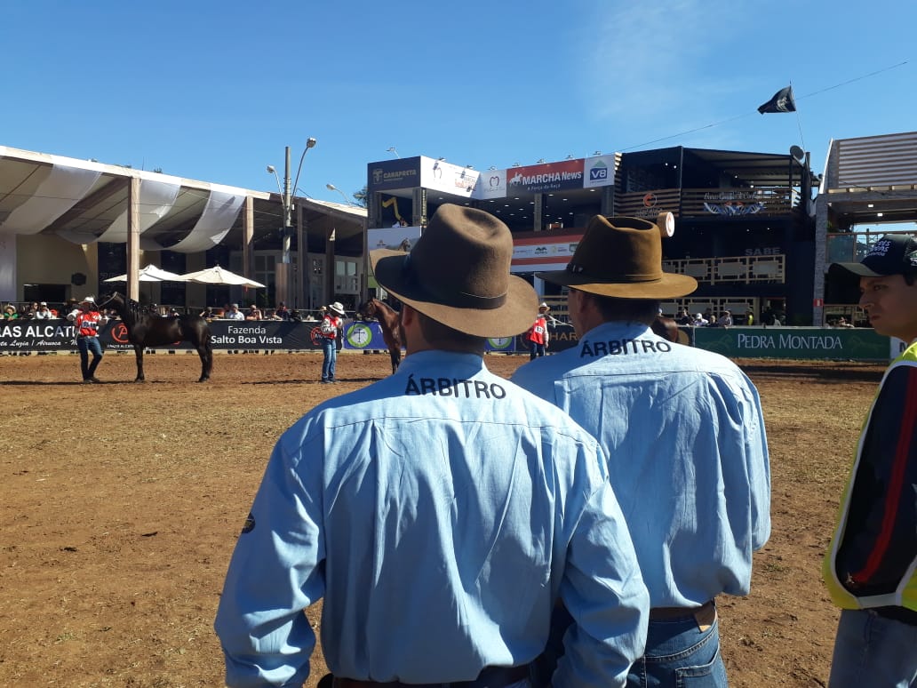 Foto: Marcelo Dias/ Canal rural