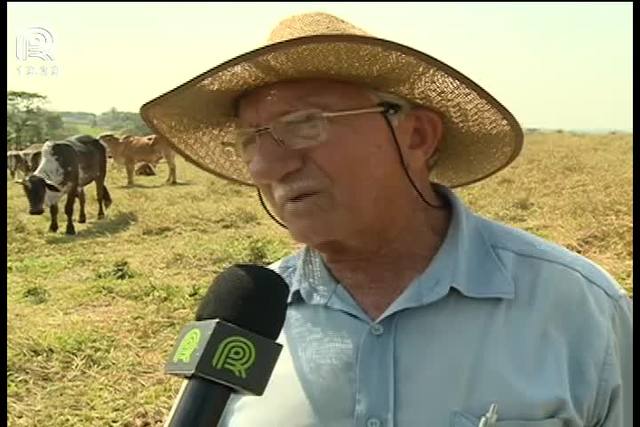 Pastagens: seca já aumenta custo em R$ 20 por animal