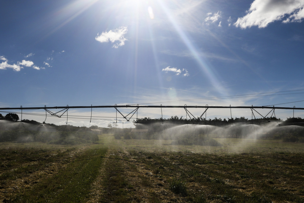 Plantação de Café na Embrapa Cerrado onde são testadas tecnologias de IDC, campo