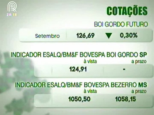 Mercado do boi gordo segue firme