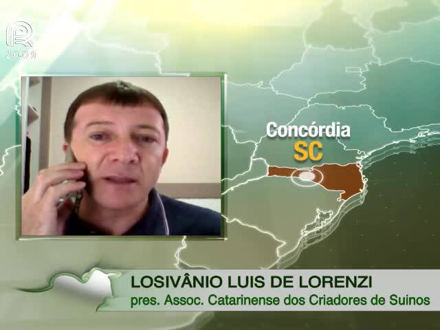 Receita com exportação de carne suína sobe 60%