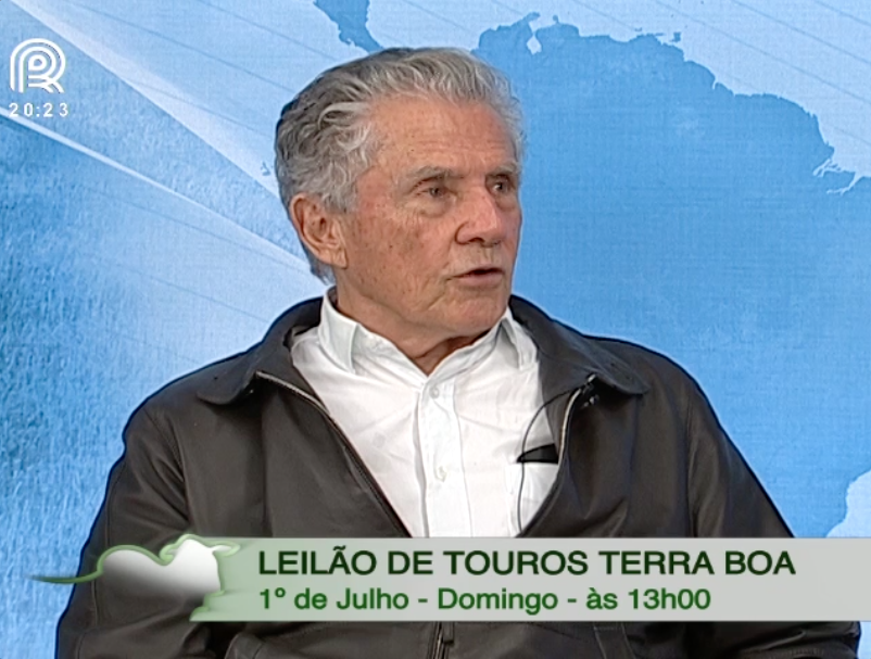 Leilão Terra Boa oferta touros de qualidade genética