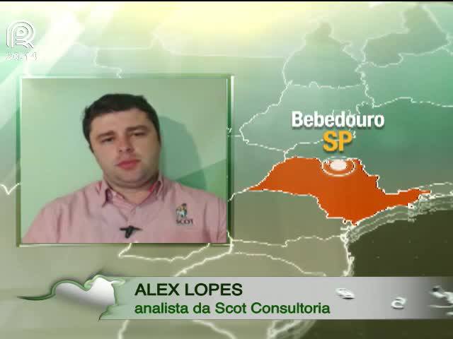 Brasil volta a importar carne dos EUA após 13 anos